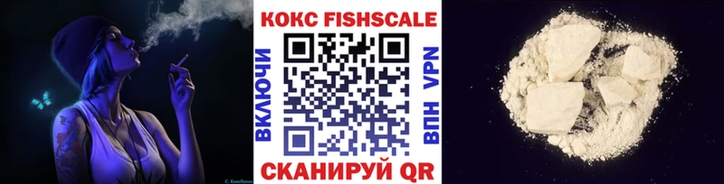 shop клад  Чебаркуль  COCAIN FishScale  купить закладку 