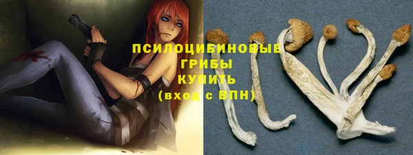 гидропоника Лиски