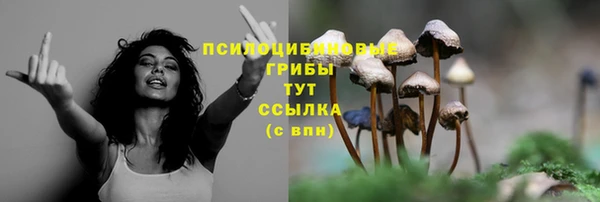 гидропоника Лиски