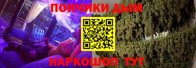 прущие грибы Кандалакша