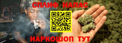 прущие грибы Кандалакша