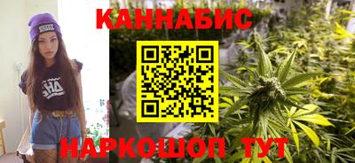 прущие грибы Кандалакша
