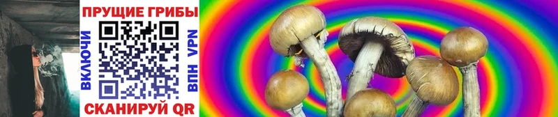 Псилоцибиновые грибы Psilocybe  Чебаркуль 
